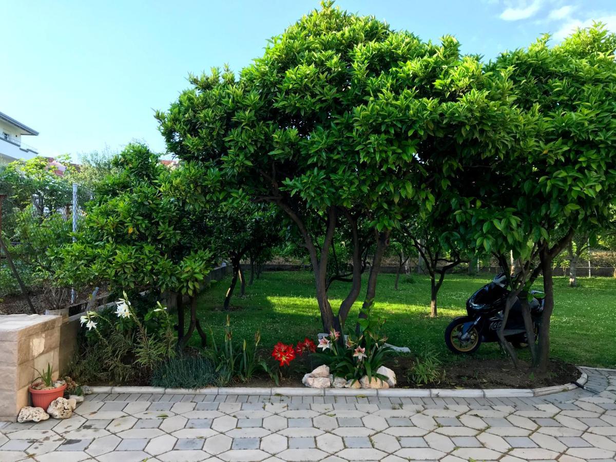 Apartments Kraja Улцин Екстериор снимка