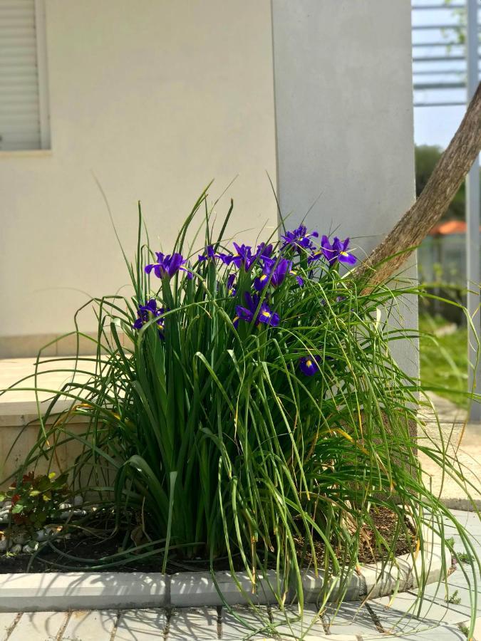 Apartments Kraja Улцин Екстериор снимка