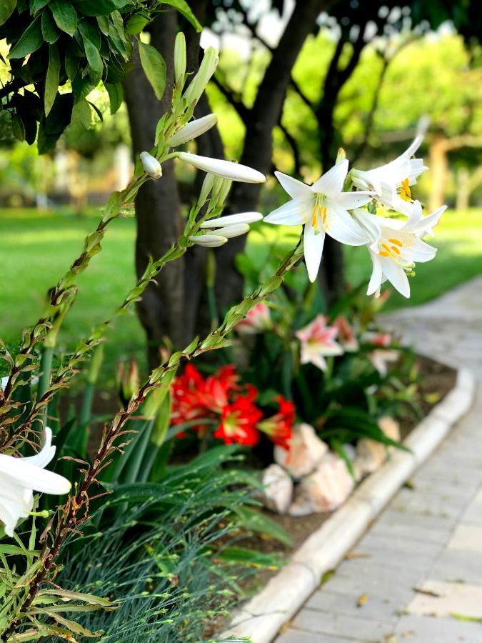 Apartments Kraja Улцин Екстериор снимка